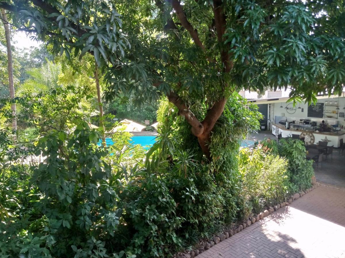 Fawlty Towers Accommodation & Activities 利文斯顿 外观 照片
